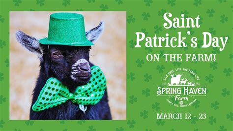 Saint Patricks Day on the Farm!, 5306 Homer Ruffin Rd, Chapel Hill, NC ...