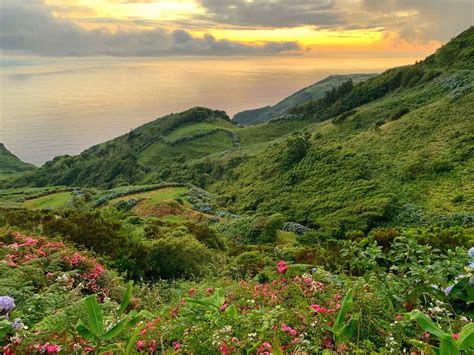 Flores Island Azores