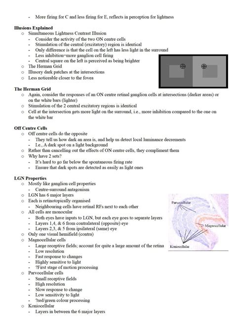 Perception Tutorial 的图像结果