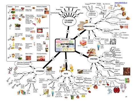 Image result for Science Form 2 Chapter 3