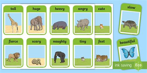 Zoo Animals Adjectives Flashcards