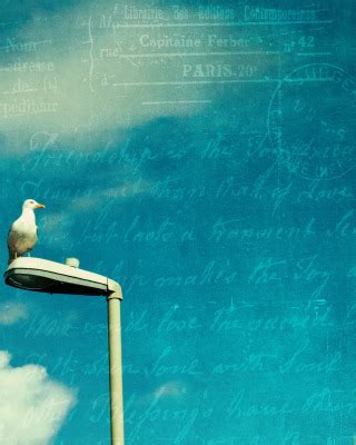 Download wallpaper the sky, letter, style, bird, section style in ...
