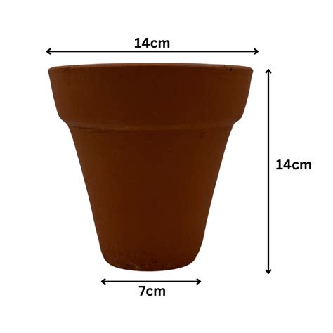 Nursery Planter - Terracotta Planter (14cm) – Hug A Plant