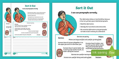 Using Paragraphs Worksheet - Differentiated Sorting Activity