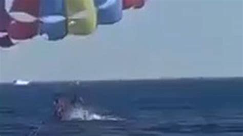 Shocking Moment Shark Leaps Out Of Water And Bites Parasailor's Foot