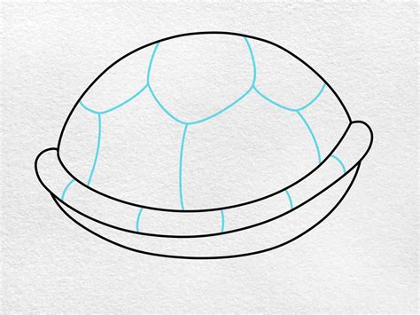 Image result for Turtle Shell Simple Drawing