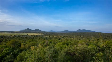 African Local People 的图像结果