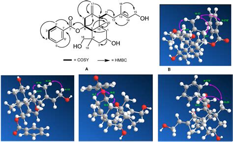 A New Diterpenoid of Indonesian Scoparia dulcis Linn: Isolation and ...
