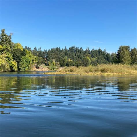 Buena Vista Ferry (ACTUALIZADO 2026) - Qué SABER antes de ir (con ...