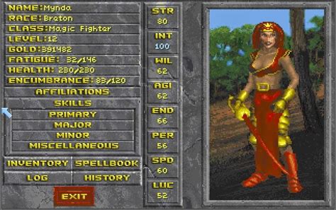 Image result for Daggerfall Game