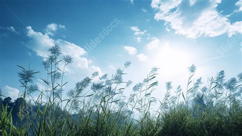 Image result for Blue Spring PowerPoint Background