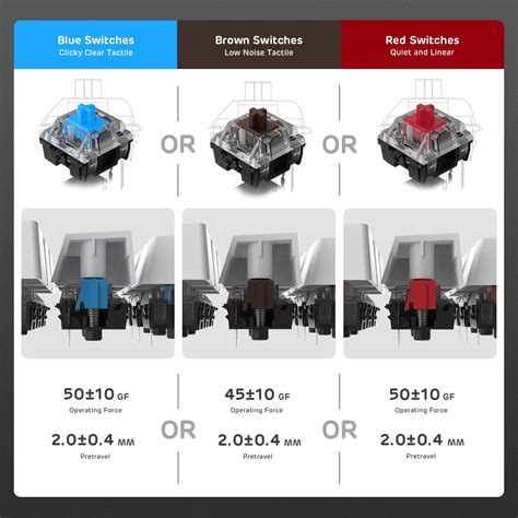 Buy RK ROYAL KLUDGE RK920 Full Size Mechanical Keyboard, Rainbow ...