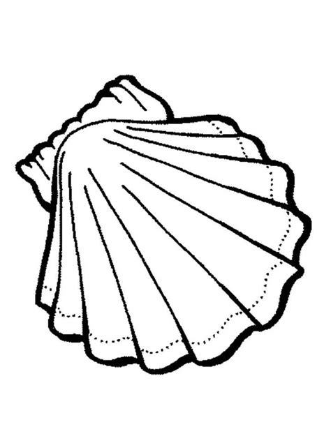 Image result for Shell Coloring Sheet