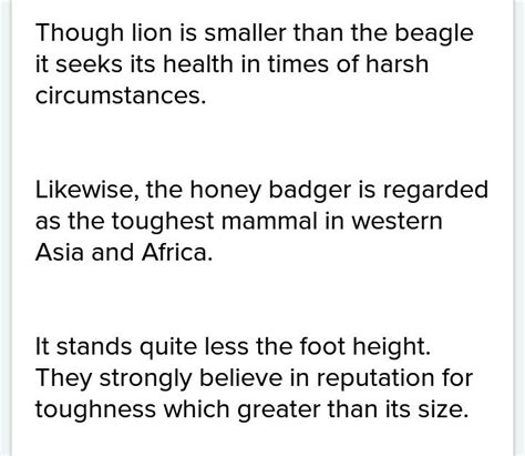 What would be the safest thing to do if you encountered a honey badger ...