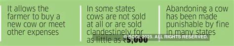 What made rural India abandon its cattle in droves - The Economic Times