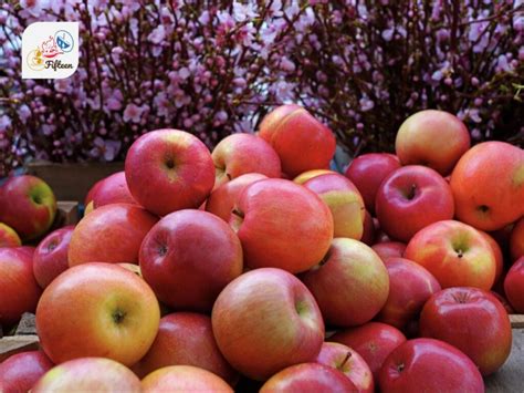 Image result for Spring and Spring Boot Fruits Example