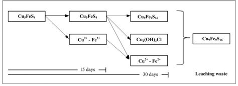 Effect of Pre-Treatment with Sodium Chloride/Sulfuric Acid on the ...