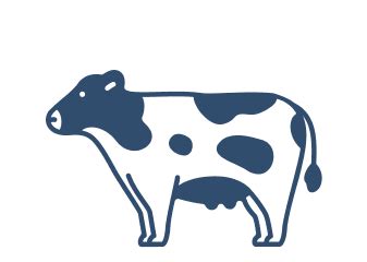 Order whole, cleaned & fresh Sardine/Mathi fish only at FreshKatch.