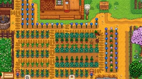 Stardew Valley Summer Squash Guide - Grow Time, How To Get & Uses