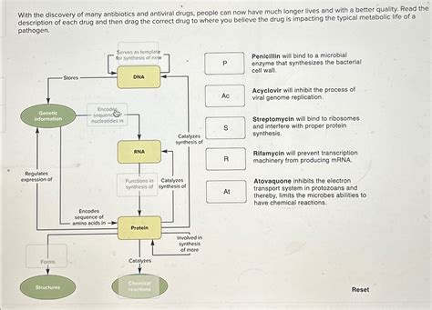 Solved With the discovery of many antibiotics and antiviral | Chegg.com