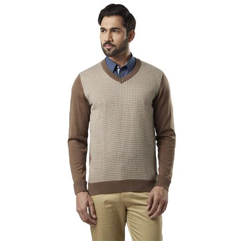 Raymond Solid Regular Fit V-Neck Full Sleeve Sweater Brown : Amazon.in ...