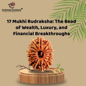 RUDRAKSHA, Nepal rudraksh beads, Indonesian rudraksha beads, rudraksha ...