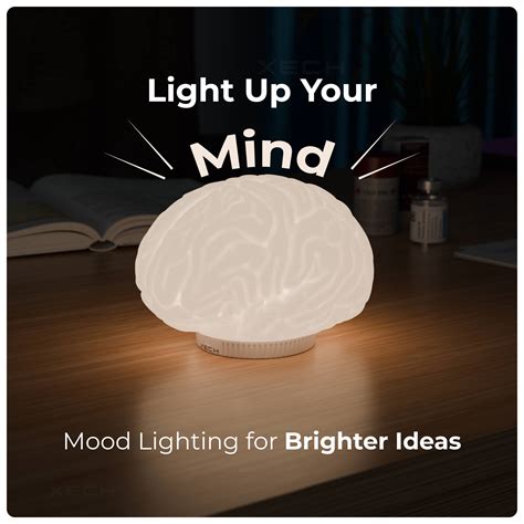 Buy Brain LED Night Lamp – Rechargeable Desk & Study Table Lamp | Brain ...