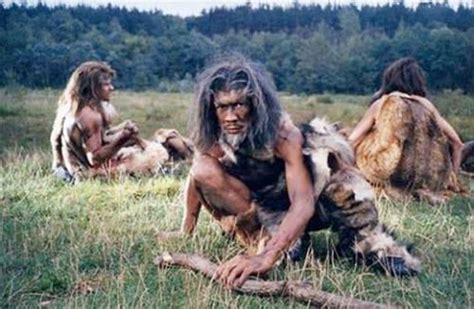 Anatomically Modern Humans 的图像结果