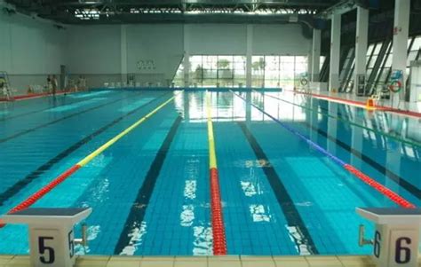 体育公园游泳馆有序对外开放_大冶市人民政府