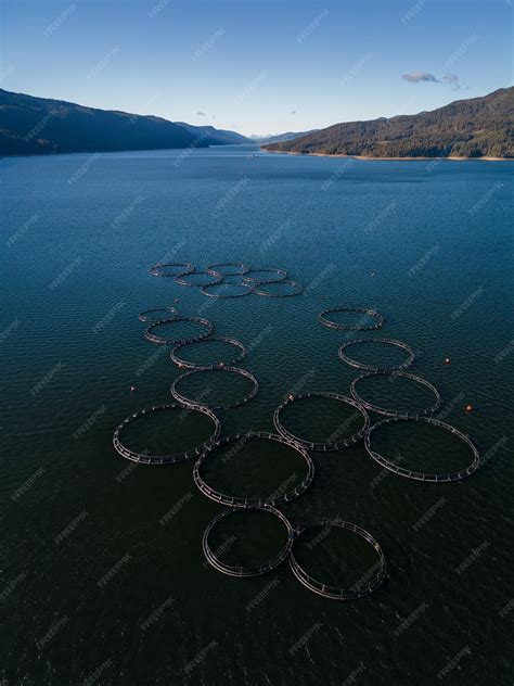 Salmon fish farm in the river aerial view | Premium Photo