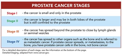 Advanced Prostate Cancer Life Expectancy 的图像结果