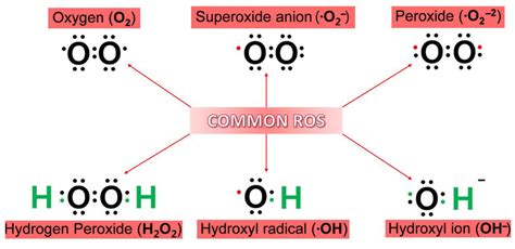 An Overview of Oxidative Stress, Neuroinflammation, and ...