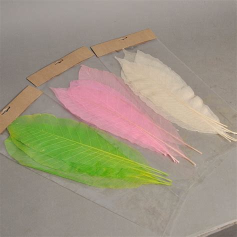 Long Leaves – Green, Pink, Bleach – Bhalotia International