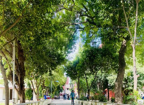 Campus | Sri Aurobindo College (Morning), University of Delhi Sri ...