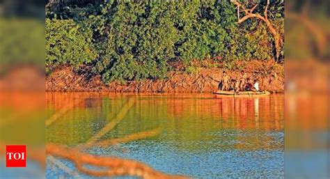 Teen drowns riding a coracle in IIT-Madras lake, friend missing ...