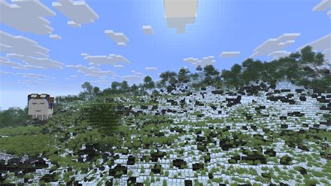 Image result for X-ray Code Minecraft