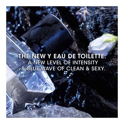 Y Eau De Toilette • 60ml (Original)