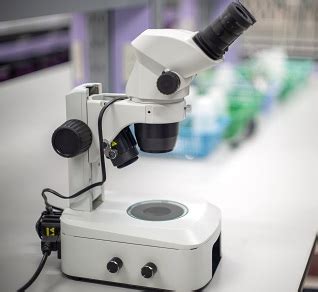 Image result for Compound vs Dissecting Microscope