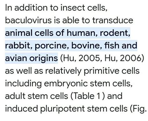 The vector Baculovirus is used for gene transfer in ...
