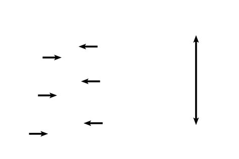 Image result for Modiolus Cochlea