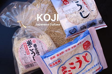 Koji -the secret behind Japanese fermented foods and drinks | Cooking ...