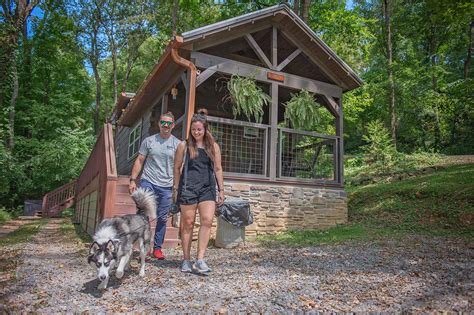 Top Pet Friendly Cabins for Your Next Getaway | Timberroot Vacation Rentals