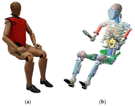 Analysis of the Head of a Simulation Crash Test Dummy with Speed Motion