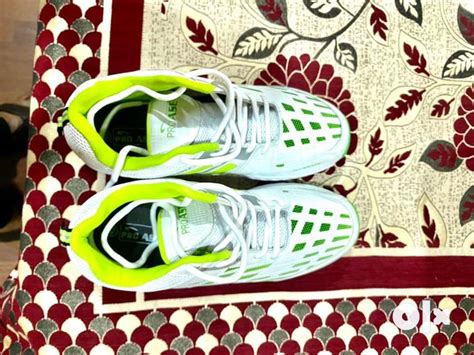 Brand new cricket shoe of size 8 - Sports Equipment - 1764837104