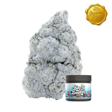 Bay Smokes TV - Live Show & Episodes