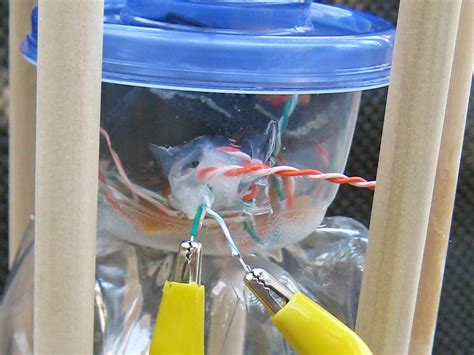 DIY H2O2 Rocket Engine 的图像结果