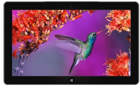 12 Best Windows 10 Themes to try out