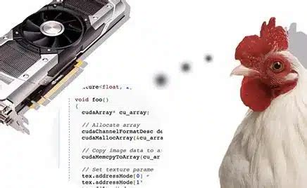 Intro to Parallel Programming 的图像结果