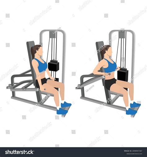 Seated Tricep Pushdown Machine
