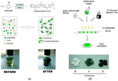 Incorporation of Conductive Materials into Hydrogels for Tissue ...